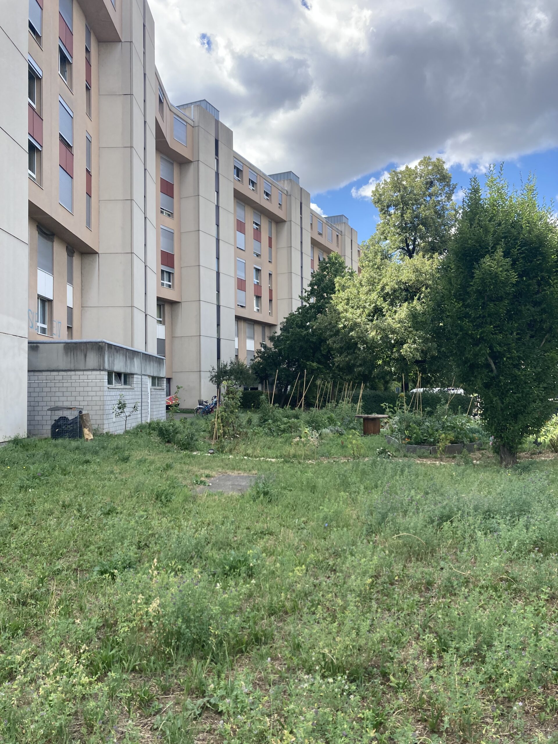 Gesamtsanierung St.Johanns-Parkweg, Basel